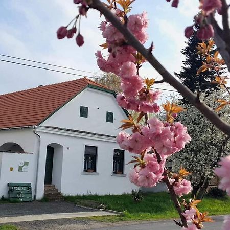 Fuszeres Porta Villa Mihalyfa Exterior photo